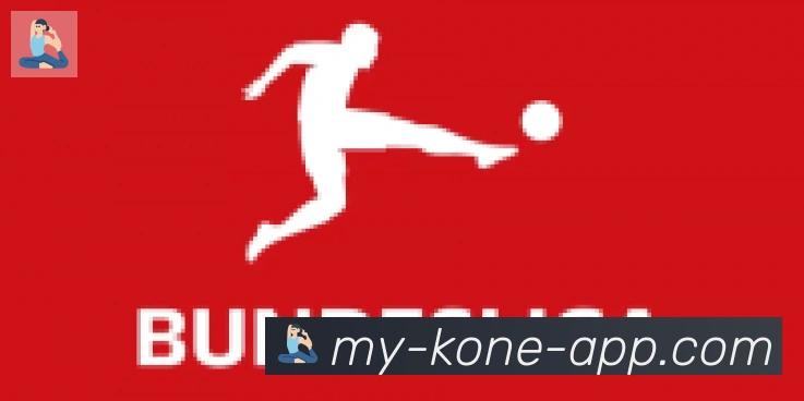 k1体育合作伙伴